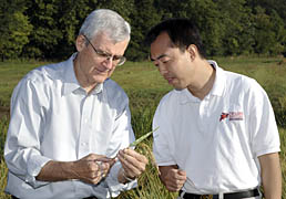 Stephen Howell and Ping Che in a rice field