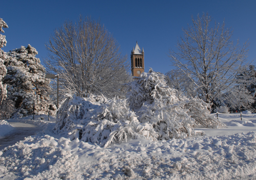 Snowy campus