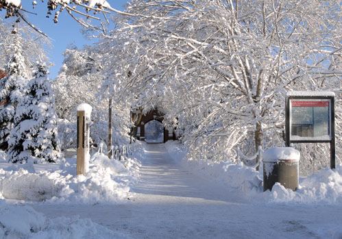 Snowy campus