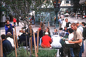 Landscape Architecture class studying the savannas at
Nicollet Mall, Minneapolis, Minnesota