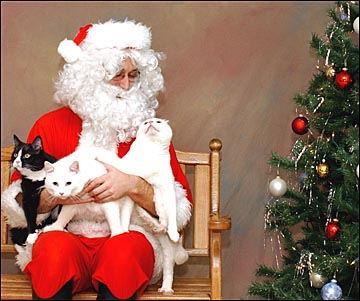 Santa with cats