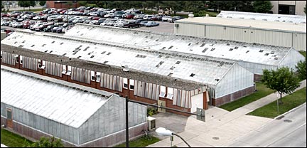 Greenhouses with hail damage