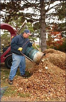man vacuuming a pile of leaves
