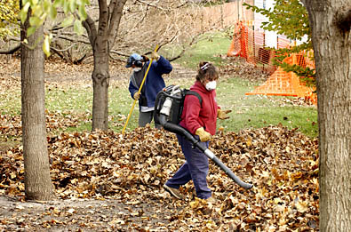Two yard crew members raking and blowing leaves on campus