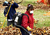 Workers remove leaves