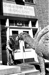 Camel in front of Stange Clinic