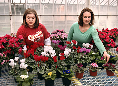 Ashley Heise and Emily Hoffmann, officers of
the ISU Horticulture Club, look over flowering plants