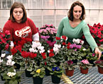 Students sell plants.