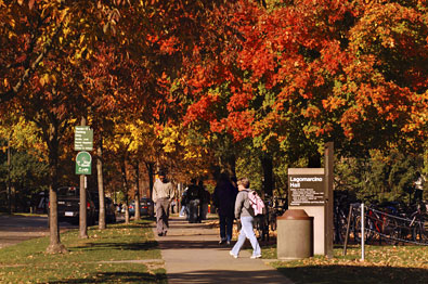Students walk under colorful canopy of
trees.