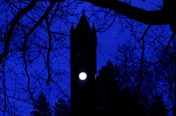 Spooky campanile