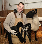 Student with new lambs at ISU sheep farm