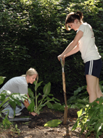 Students plant garden