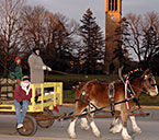 Carriage rides in 2007