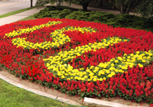 ISU flower bed