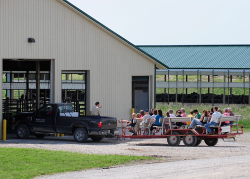 Dairy farm tour