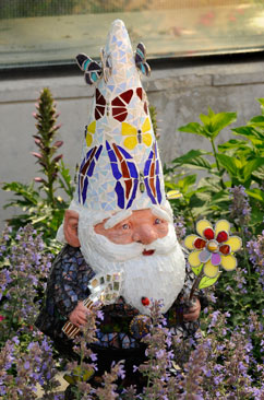 Gnome