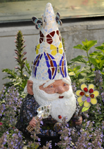 Gnomes in the garden