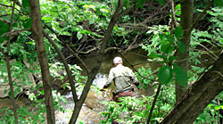 Creek cleanup