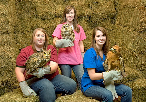 Wildlife Care Clinic