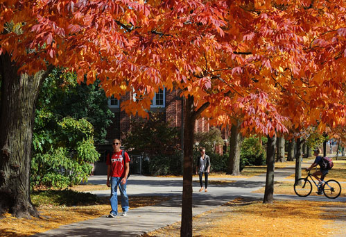 Fall colors on campus